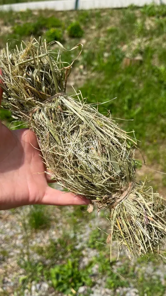 Senobonbon +- 25cm - HRAČKA