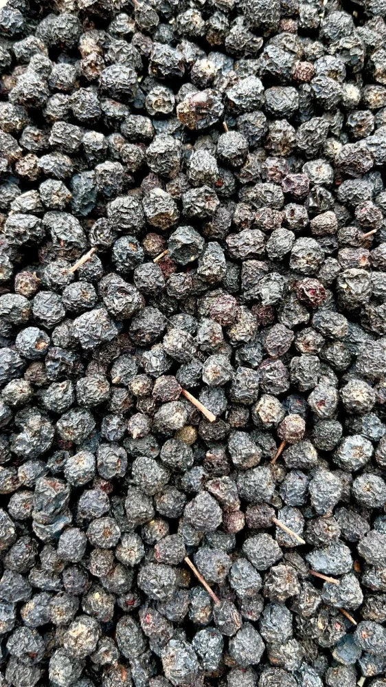 Aronie plod (Jeřáb černý)- 100g
