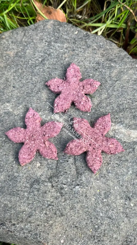 Ostružinové křupky - 60g