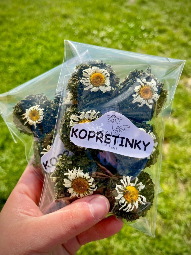 Kopretinky - 6ks/bal.