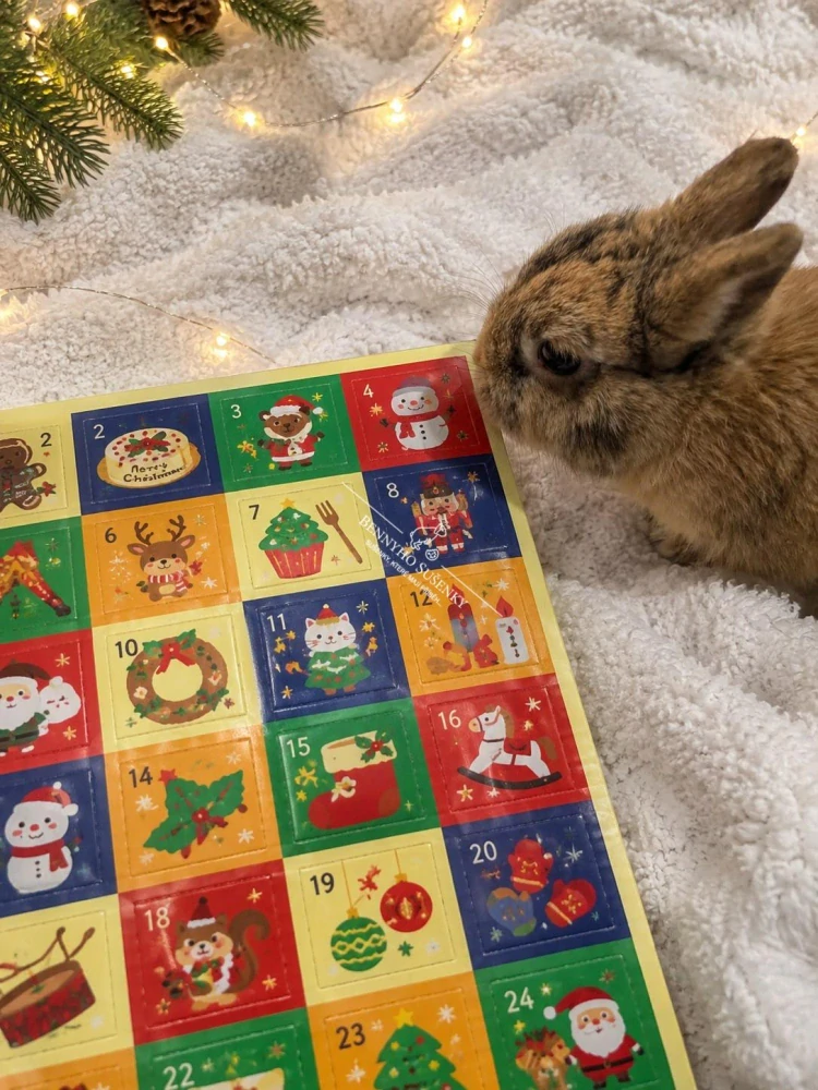 Adventní kalendář 2026 - okýnkový