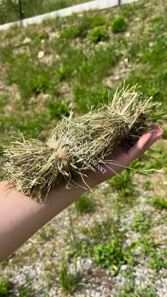 Senobonbon +- 25cm - HRAČKA