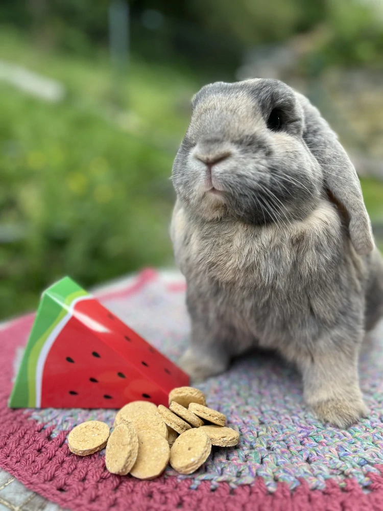 🍉 Melounové křupky v melounové krabičce - 120g LETNÍ LIMITOVANÁ EDICE
