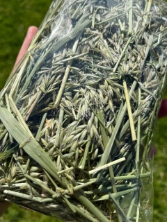 Timotejská pochoutka - 50g