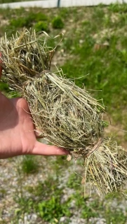 Senobonbon +- 25cm - HRAČKA