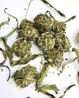 Jitrocelové bonbonky - 40g